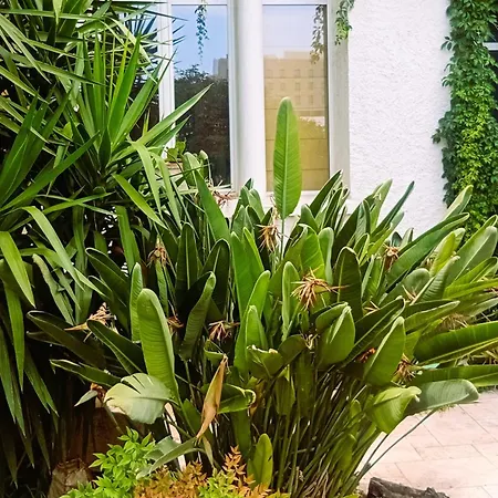 Indépendant Dans Maison De Charme Près Gare Et Parc * Montpellier