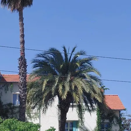 Palma, Grande Independante Avec Sdb Et Kitchenette Dans Maison De Charme En Centre Apartment