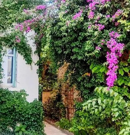 Palma, Grande Independante Avec Sdb Et Kitchenette Dans Maison De Charme En Centre *
