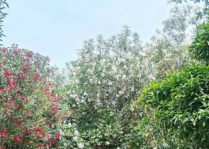 Grande 23 M2 Avec Salle De Bain, Wc Et Kitchenette * Μονπελιέ